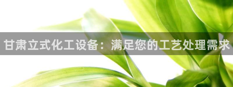 新城平台登录入口网址